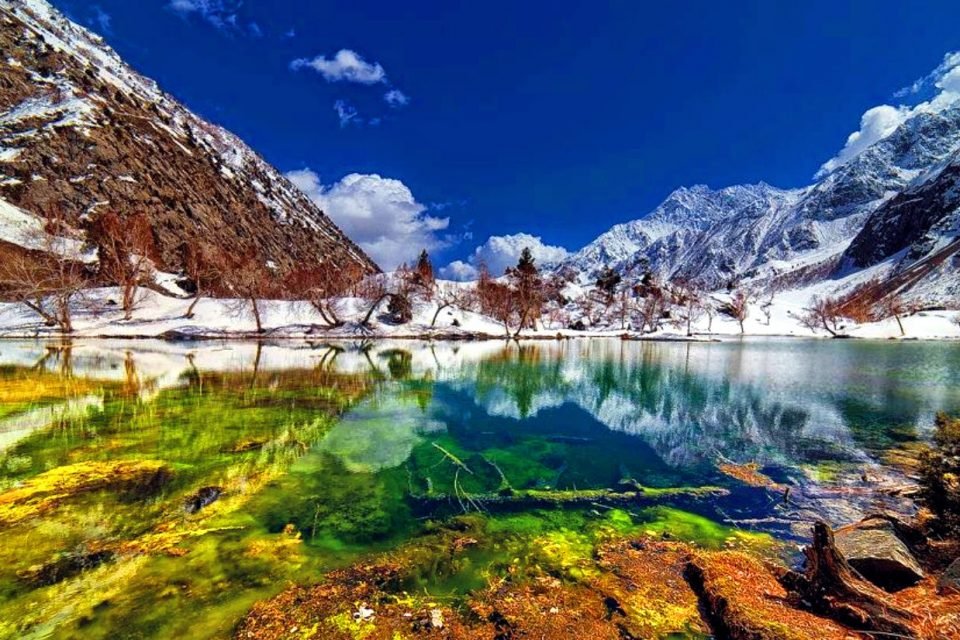Naltar Valley Gilgit