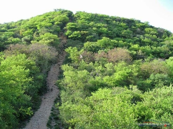 Toughest Trail in Islamabad