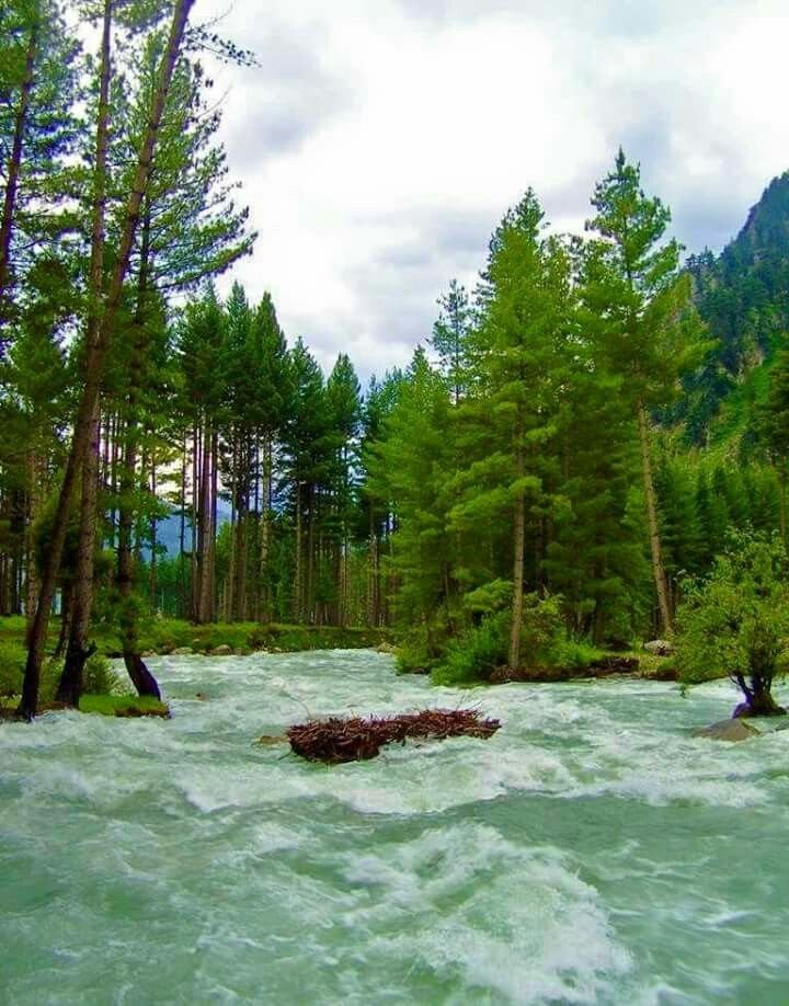 Panjkora River near Kumrat Valley
