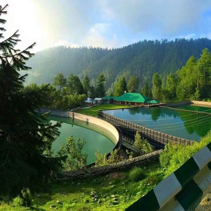 A scenic view in Galiyat Region