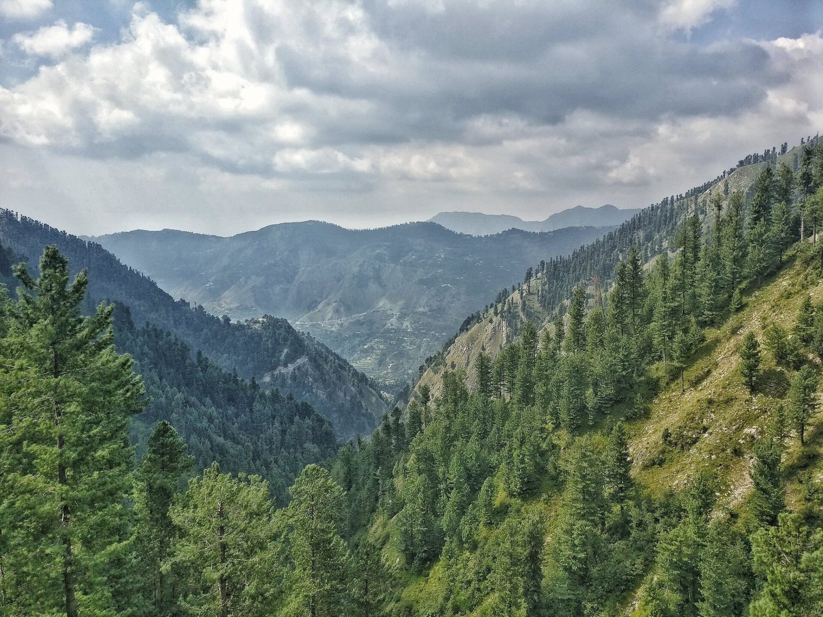 Nathia Gali - one of the best places to visit in Galiyat Region