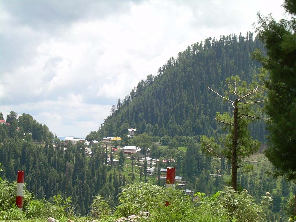 Ayubia national park in Galiyat region