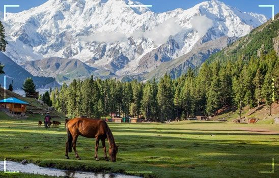 Northern Areas of Pakistan - Untold Pakistan