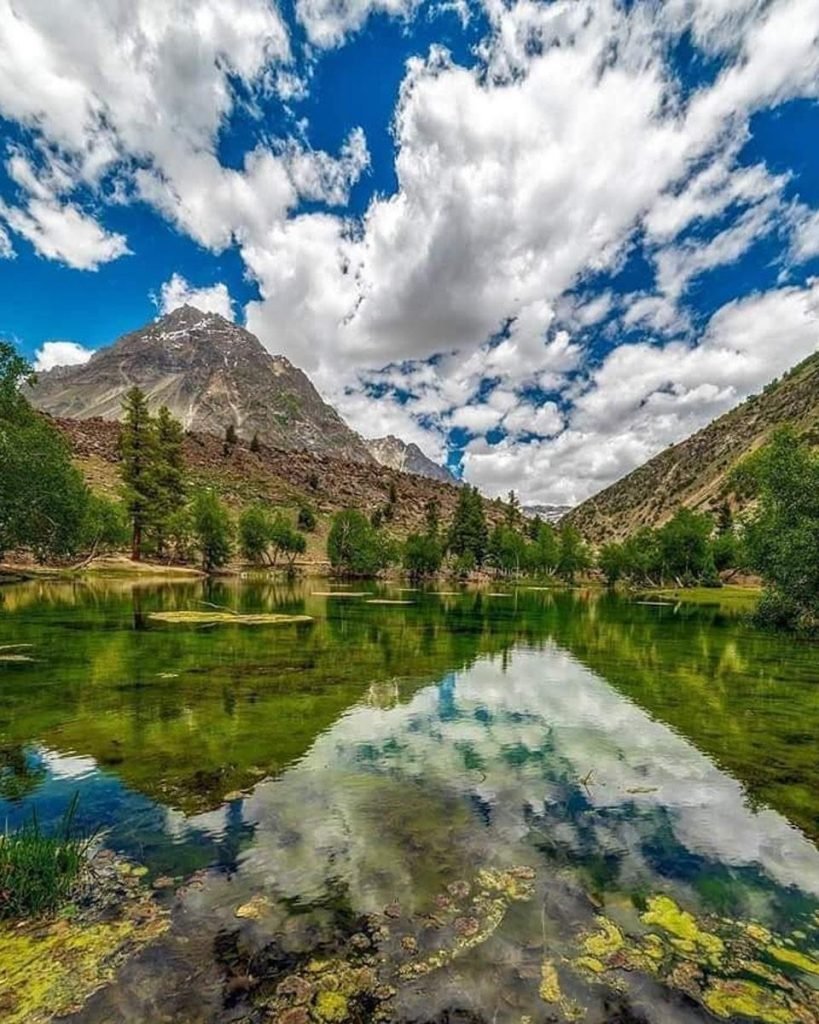 Naltar Valley