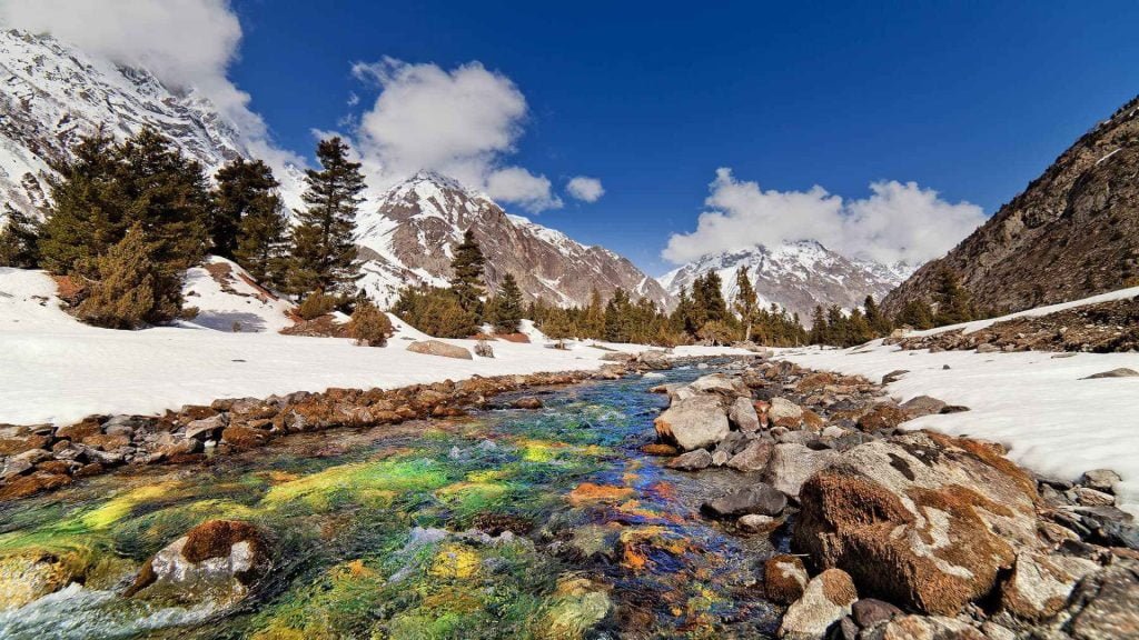 Upper Naltar Valley