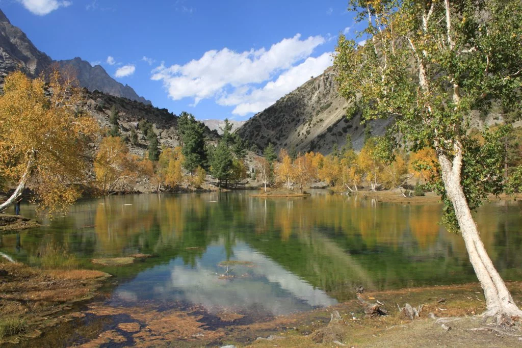 Naltar Valley