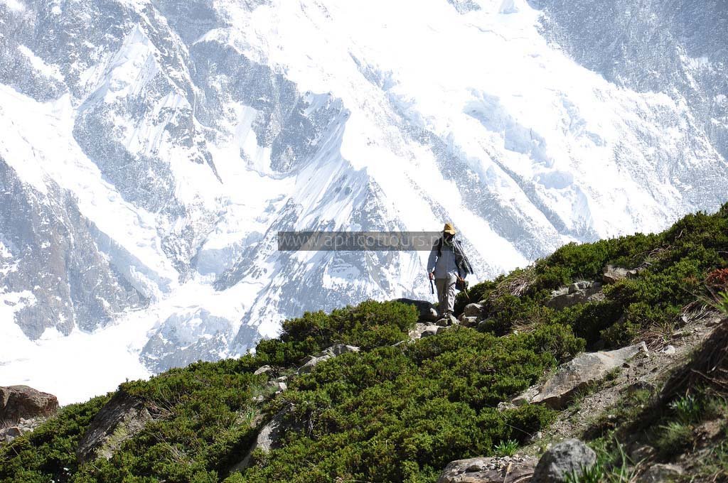 Batura glacier trekking