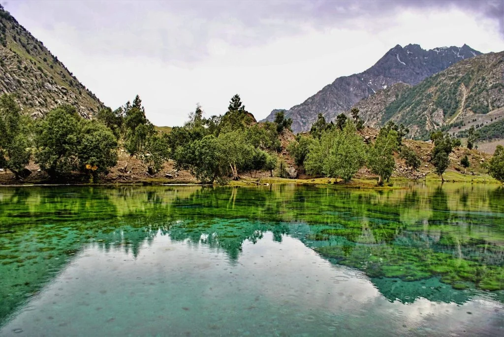 Upper Naltar Valley