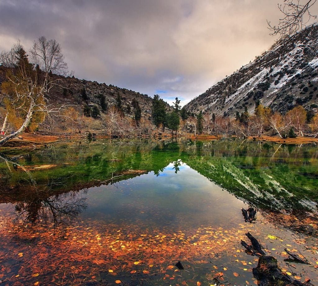 Naltar Valley