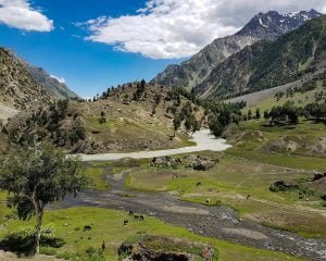 Mountains in Naltar Valley