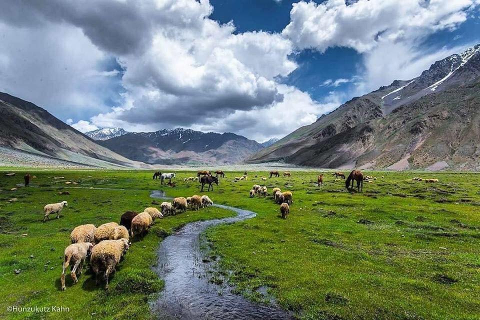 Deosai National Park