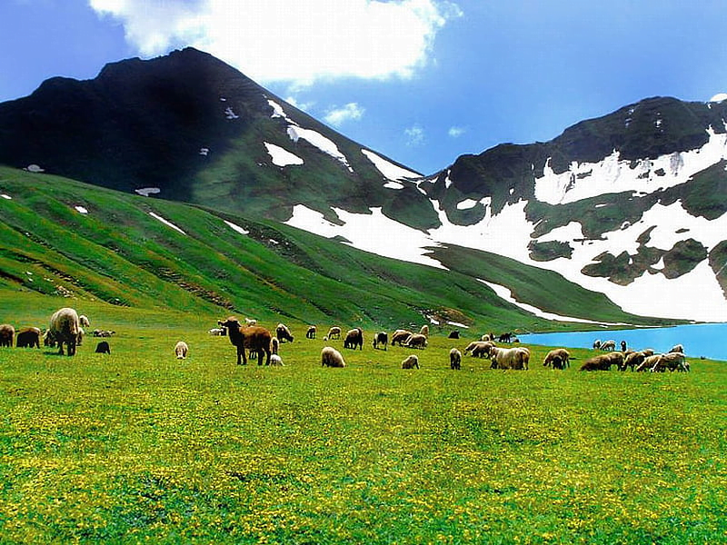 Dudipatsar Lake- Calling you STraight Away from Kaghan