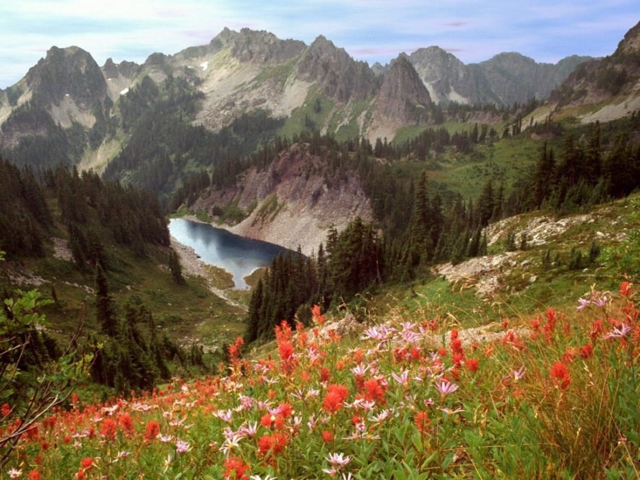 A mesmerizing view of Nagar Valley.