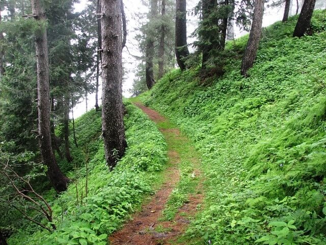 A scenic picture of Miranjani Trek