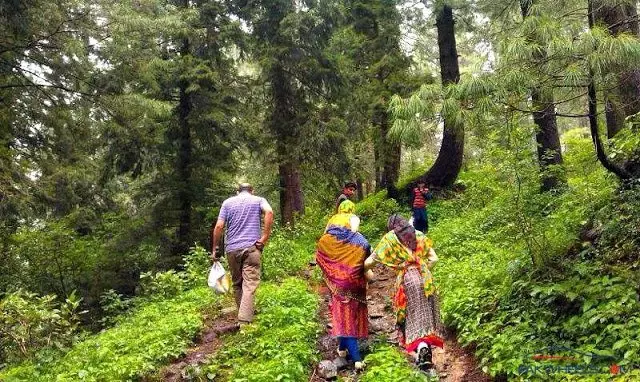 Miranjani top in Nathia Gali