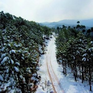 Roads covereds with snow