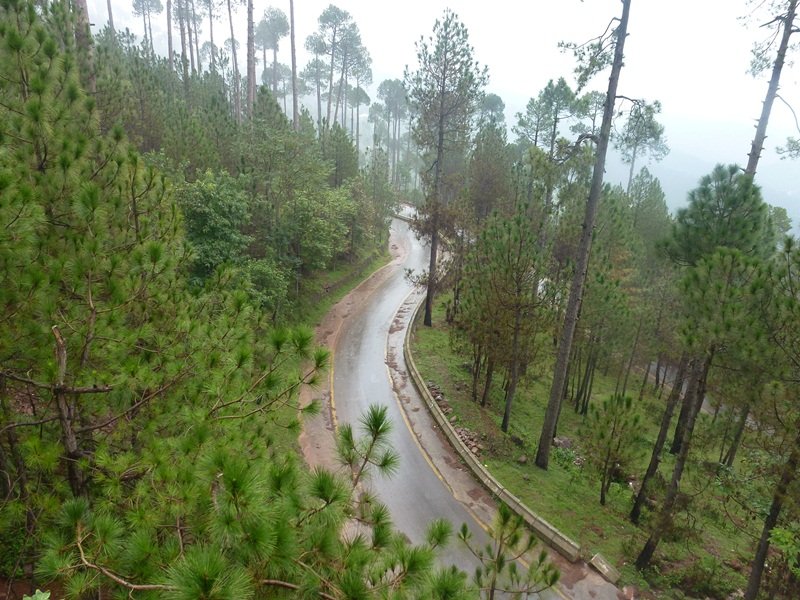 Patriata Murree