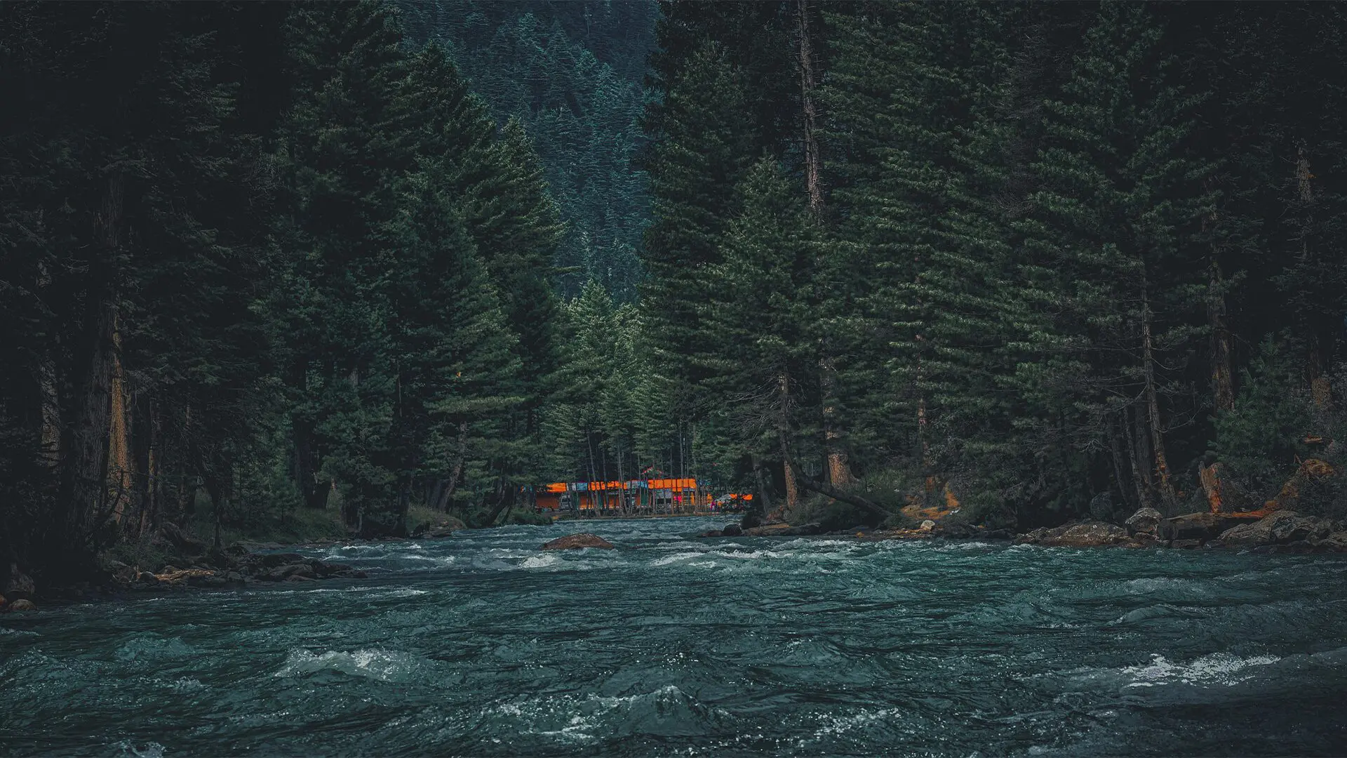 toor koot forest located near kumrat valley