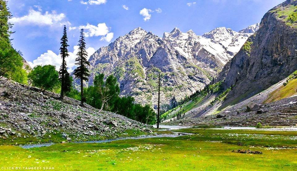 A scenic village named Gabral located in the Swat valley near kalam