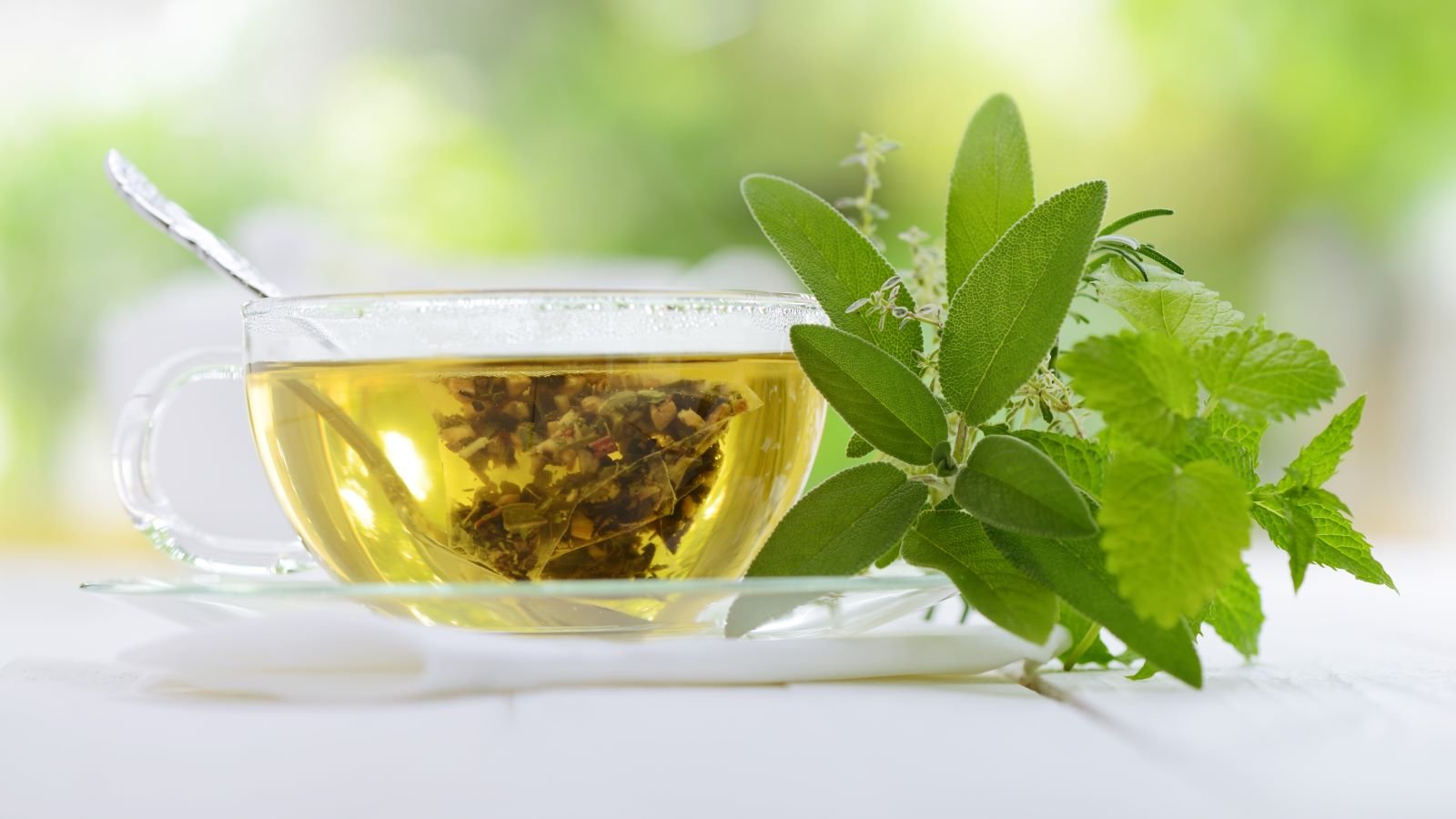 Green Tea and Weight Management